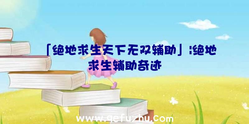 「绝地求生天下无双辅助」|绝地求生辅助奇迹